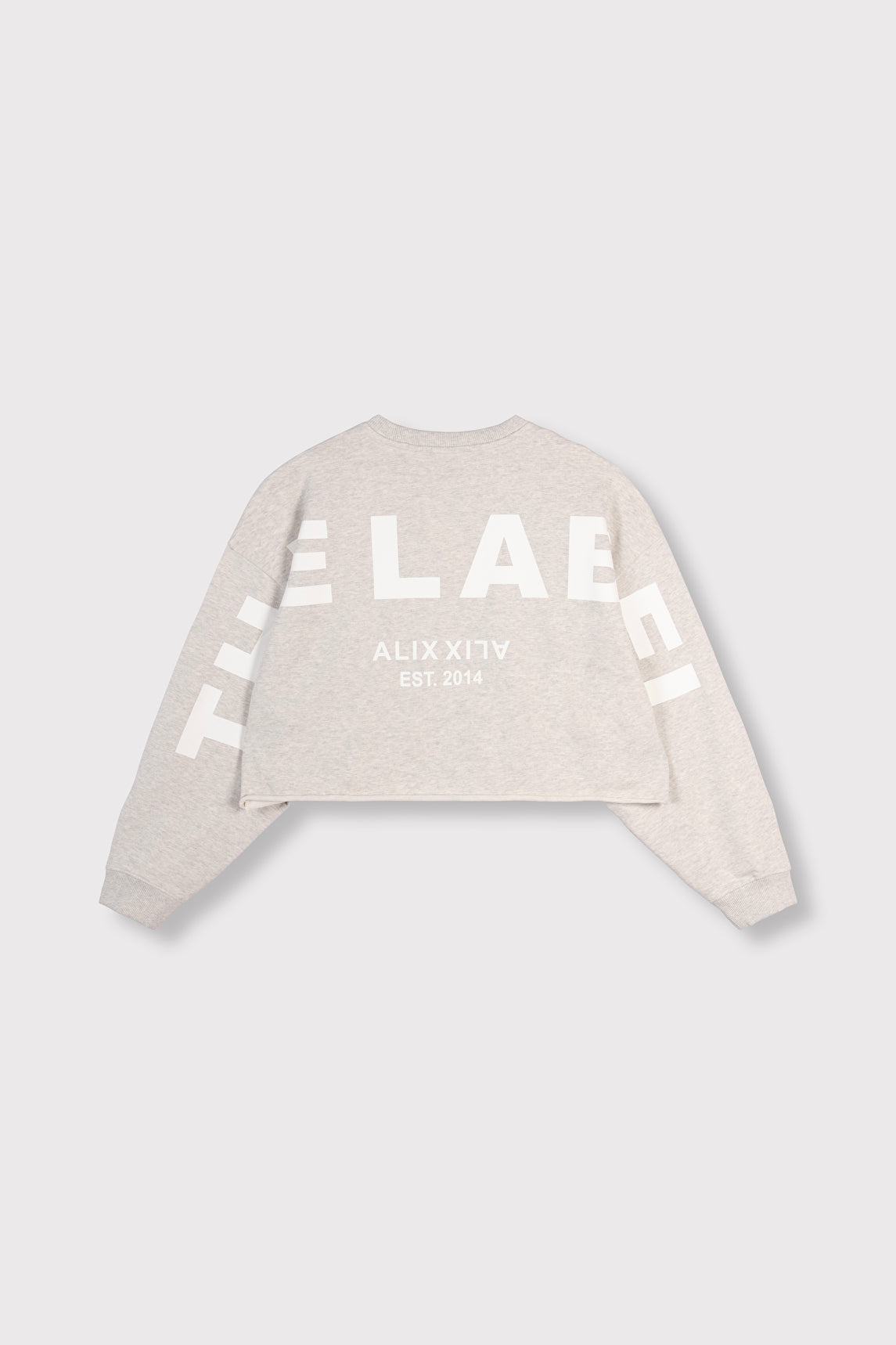 Back Print Sweater - Light Grey